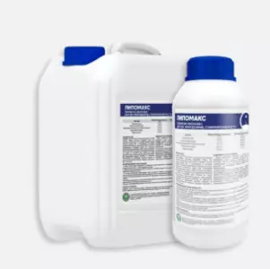 АД’ЮВАНТИ, ПРИЛИПАЧІ АД’ЮВАНТИ, ПРИЛИПАЧІ