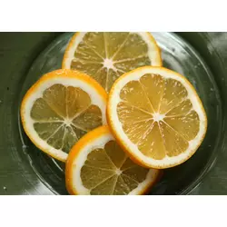 Сорт лимона Мейер