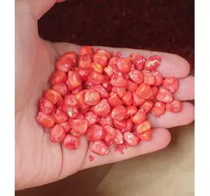 Семена кукурузы ADEL ФАО 260, 18 кг