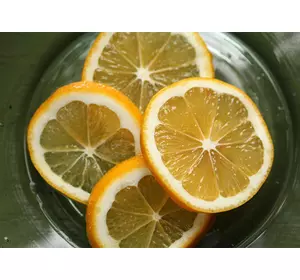 Сорт лимона Мейер