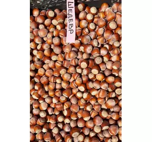 Фундук “Шедевр” відводки Фундук “Шедевр” відводки