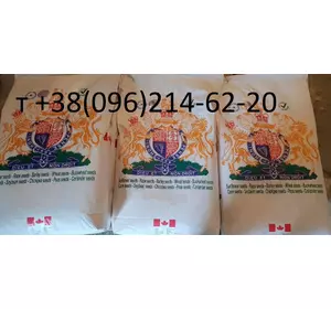 ROSS – канадский озимый сорт рапса (элита) мешки по 18 кг
