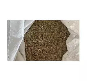 Суміш сидератів весняна 1 кг (1,5кг на сотку)