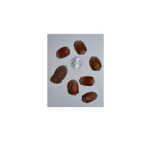 Саженцы фундука Вебба 2 лет Саженцы фундука Вебба 2 лет