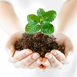 Препарати для захисту рослин Препарати для захисту рослин