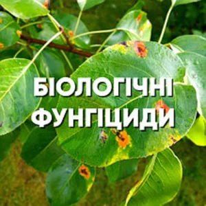 Биологические фунгициды (от болезни) Биологические фунгициды (от болезни)