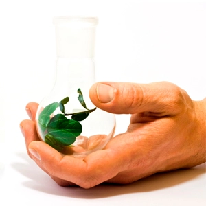 Біологічні засоби захисту рослин Біологічні засоби захисту рослин