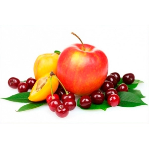 Саджанці Саджанці