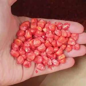 Семена кукурузы канадский трансгенный гибрид Семена кукурузы канадский трансгенный гибрид