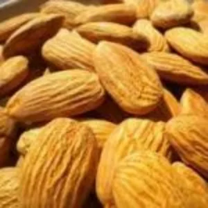 Привитые саженцы миндаля Привитые саженцы миндаля