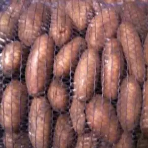 Тирас Тирас