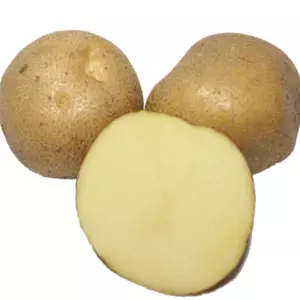 Околица Околица