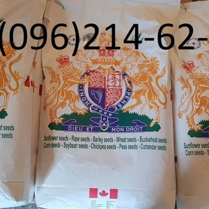 Семена рапса Семена рапса