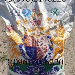 Канадский гибрид подсолнечника Канадский гибрид подсолнечника